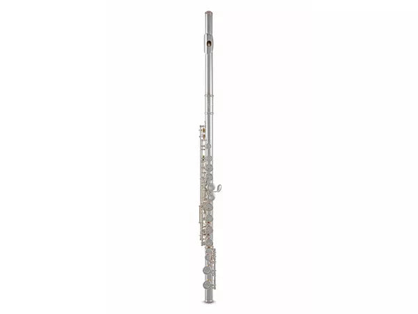 Flauto Traverso Roy Benson FL402E