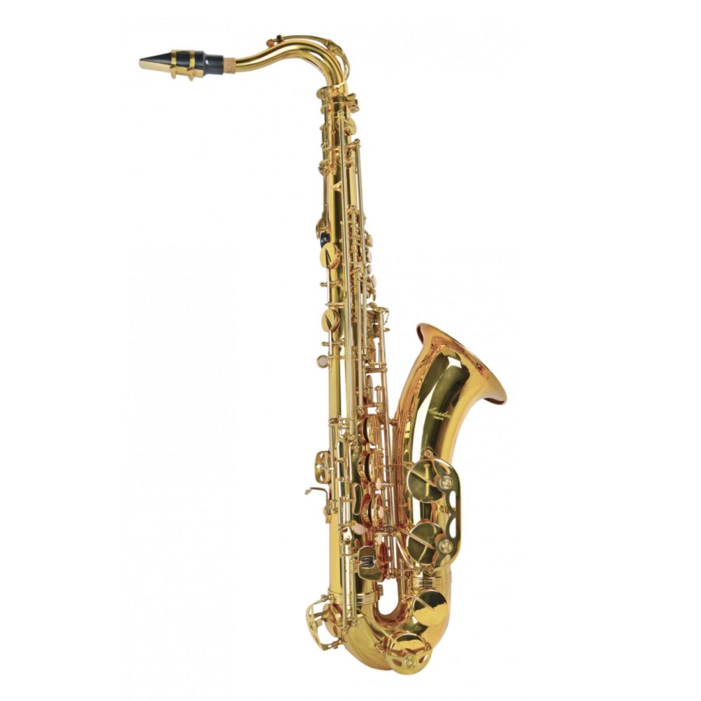 Sax Tenore Amadeus TS-910